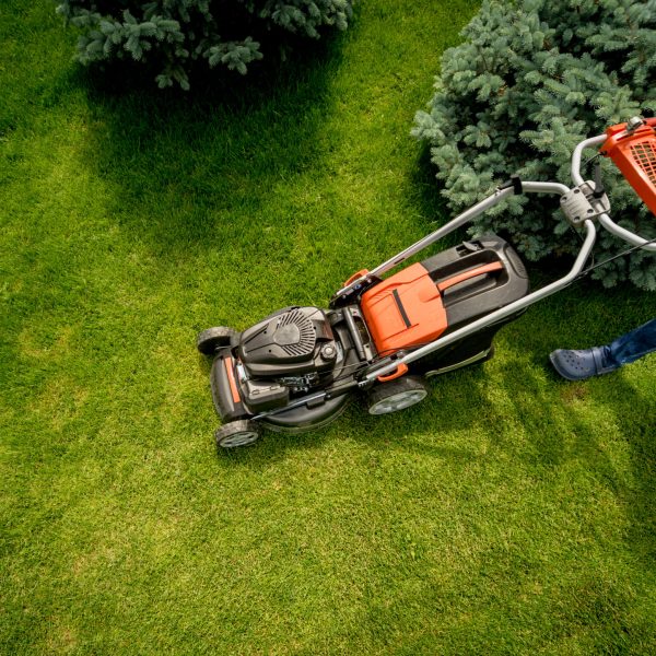 Gardener mowing the lawn. Landscape design. Gardening